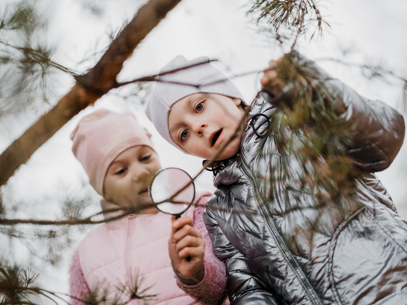 Детские тематические программы зимой